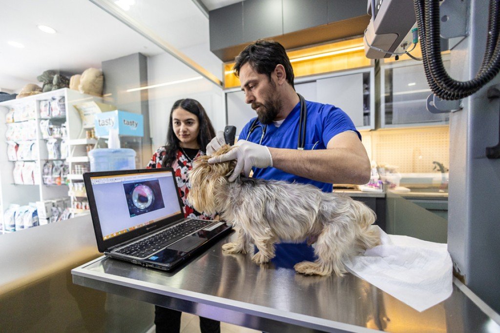 Evcil Hayvanlarını Artık Çip ile Koruma Altında / WETNOSE